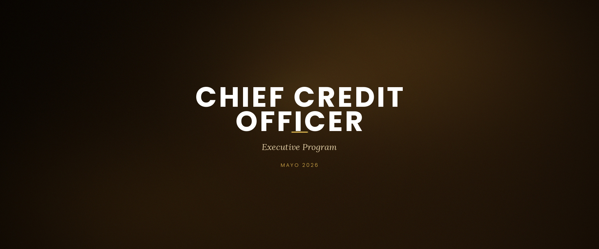 03_chief_credit_officer.jpg